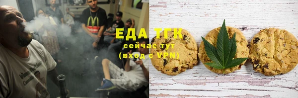 крисы Анива