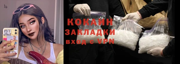 крисы Анива