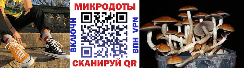 Галлюциногенные грибы мухоморы Ветлуга